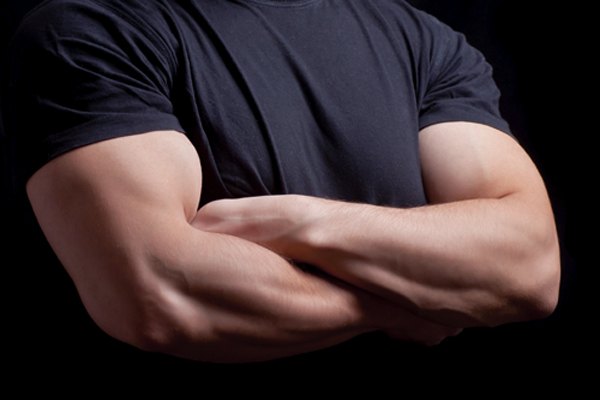 Bouncer Service - MEAL